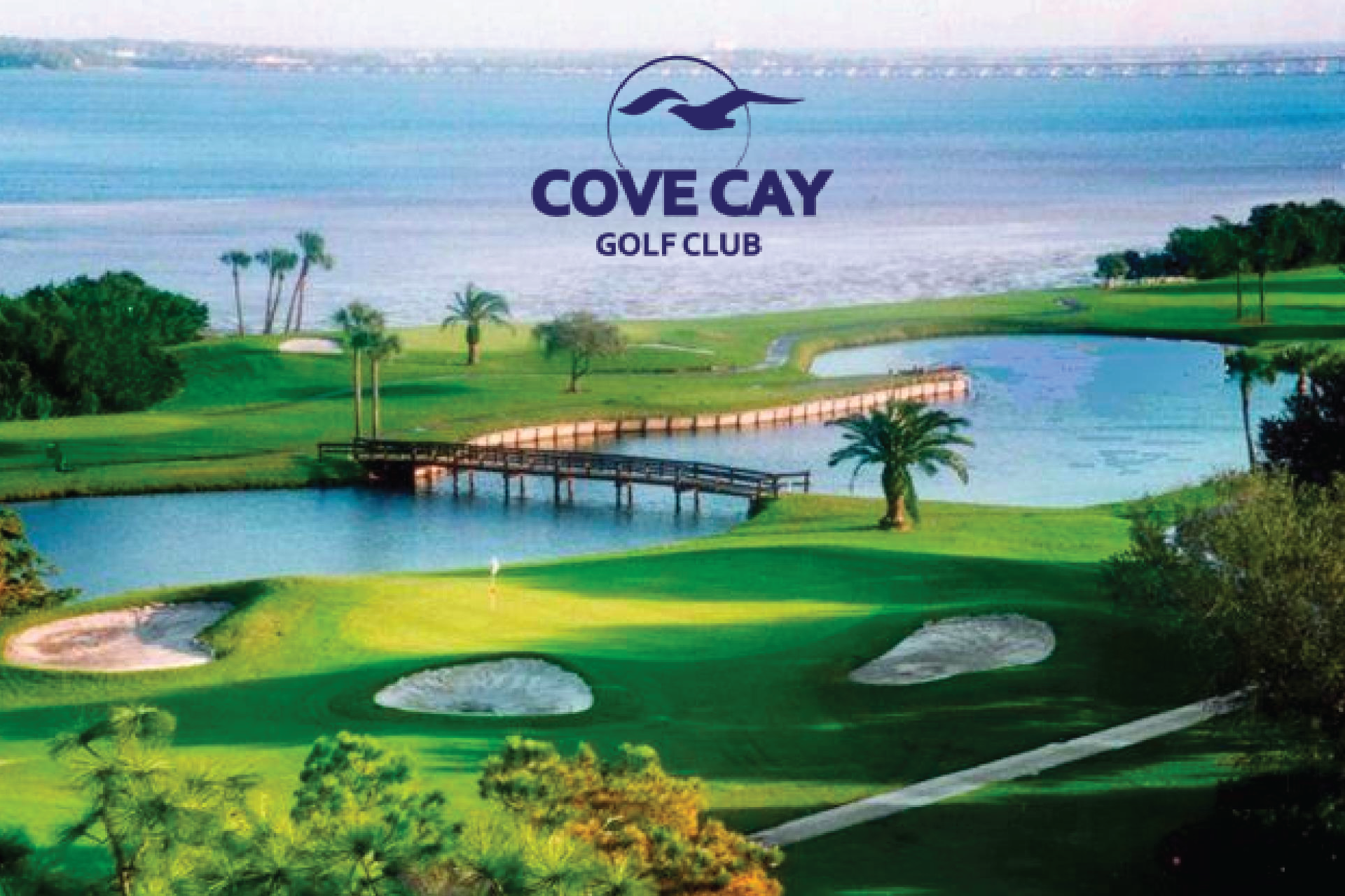 cove_cay_mkt-01 cove_cay_mkt-01